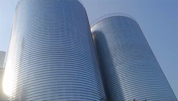 滁州2座混凝土高架卷板仓